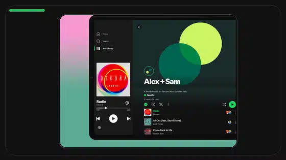 Best Spotify Equalizer Settings for Bass - Spotify app screenshot 2