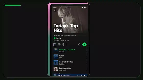 Best Spotify Equalizer Settings for Car Audio - Spotify app screenshot 4