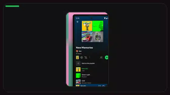 Best Spotify Equalizer Settings for Car Audio - Spotify app screenshot 8