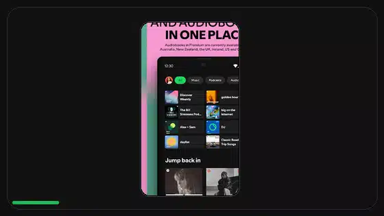 How to Clear Spotify Cache Before an APK Update - Spotify app screenshot 1