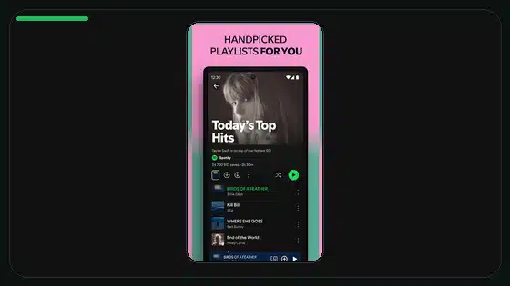 How to Clear Spotify Cache Before an APK Update - Spotify app screenshot 4