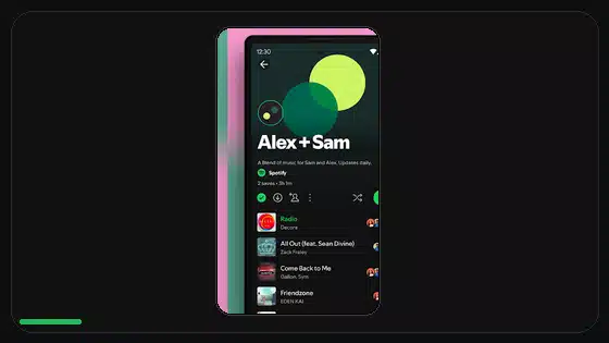 How to Clear Spotify Cache Before an APK Update - Spotify app screenshot 5