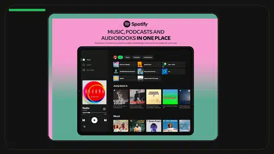 How to Clear Spotify Cache on Android - Spotify app screenshot 3