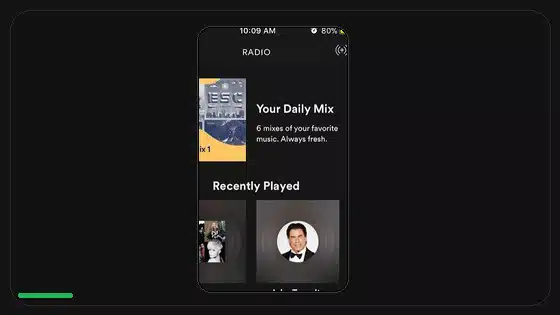 How to Clear Spotify Cache on Android - Spotify app screenshot 10