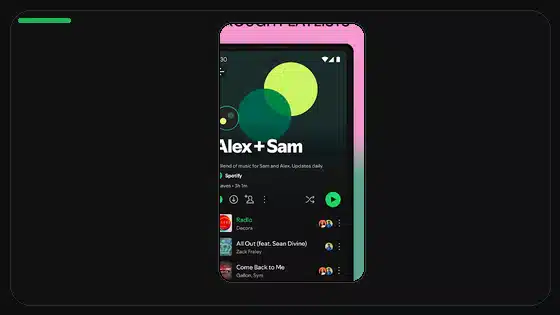 How to Clear Spotify Search History - Spotify app screenshot 5