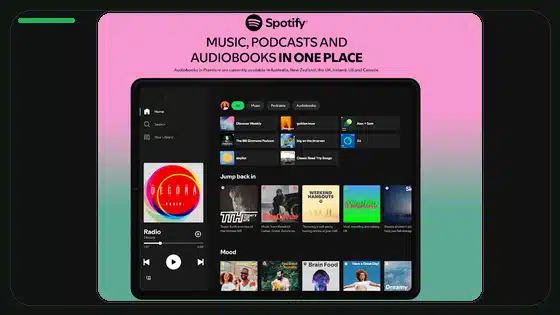 How to Install Spotify Premium APK Without Losing Playlists - Spotify app screenshot 9