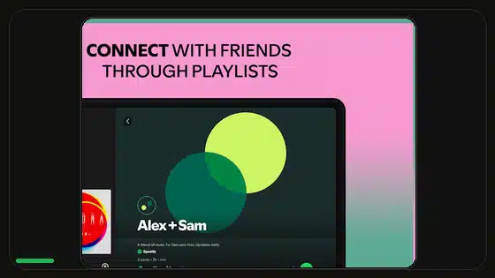 How to Make Spotify Playlists Private - Spotify app screenshot 2