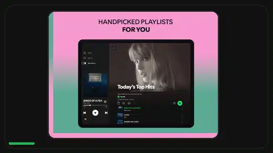 How to Make Spotify Playlists Private - Spotify app screenshot 4
