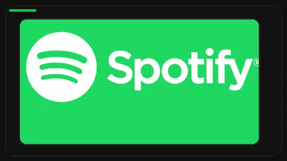 How to Make Spotify Playlists Private - Spotify app screenshot 9