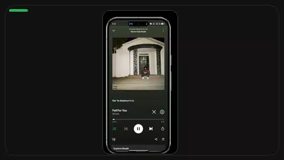 How to Recover Missing Spotify Playlists - Spotify app screenshot 7