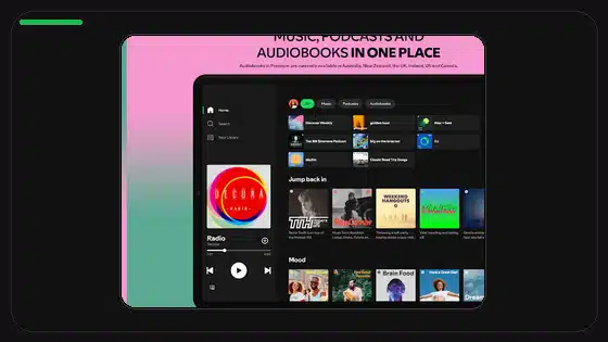 How to Reinstall Spotify Premium APK Correctly - Spotify app screenshot 3