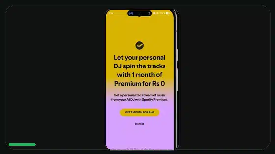How to Reinstall Spotify Premium APK Correctly - Spotify app screenshot 5