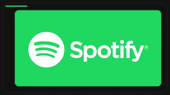 How to Reinstall Spotify Premium APK Correctly - Spotify app screenshot 9