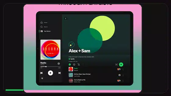 Is Spotify Premium APK Safe to Use - Spotify app screenshot 2