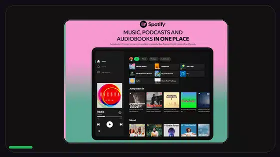 Is Spotify Premium APK Safe to Use - Spotify app screenshot 3