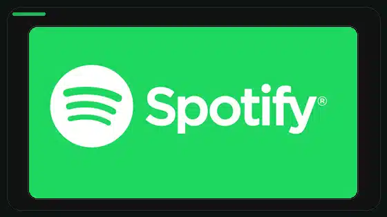 Is Spotify Premium APK Safe to Use - Spotify app screenshot 9