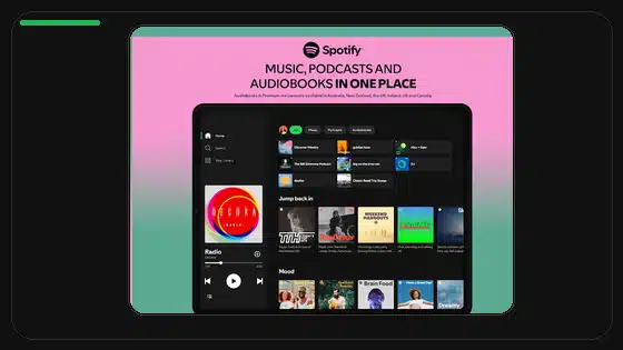 Spotify APK DPI Variants Explained - Spotify app screenshot 3