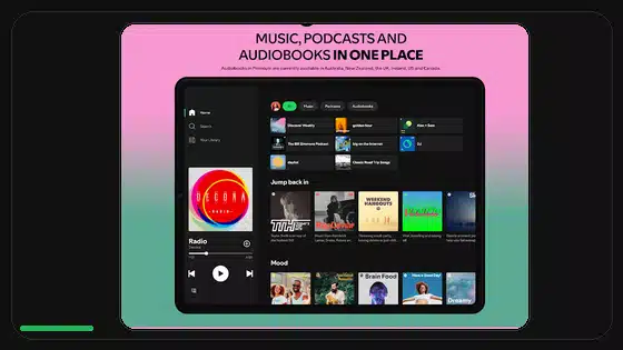 Spotify APK Version Code vs Version Name Explained - Spotify app screenshot 3