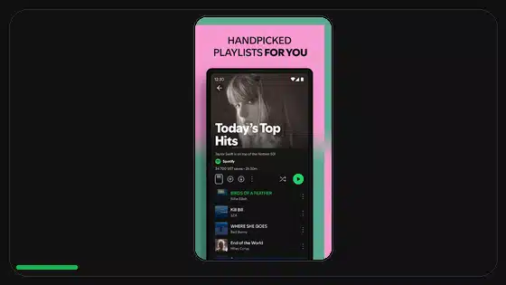 Spotify Gapless Playback Explained - Spotify app screenshot 4