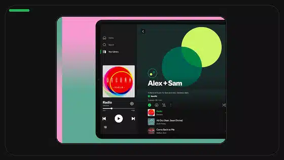 Spotify Lyrics Sync Troubleshooting - Spotify app screenshot 2