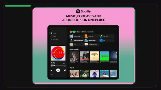 Spotify Lyrics Sync Troubleshooting - Spotify app screenshot 3