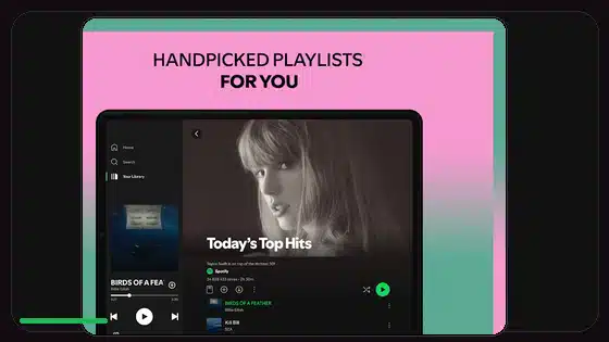 Spotify Lyrics Sync Troubleshooting - Spotify app screenshot 4