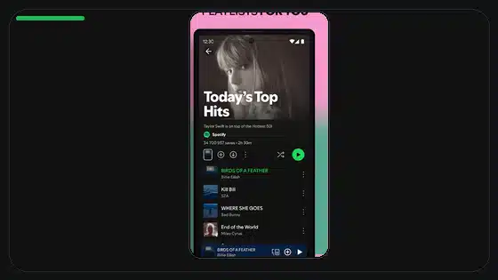 Spotify Mono Audio Setting Explained - Spotify app screenshot 4