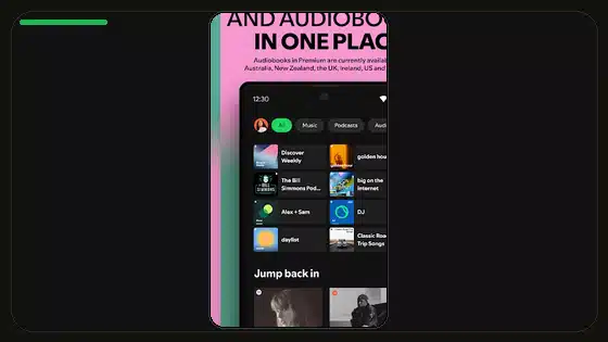 Spotify Normalization Setting Explained - Spotify app screenshot 1