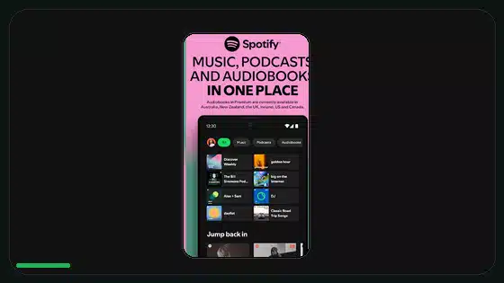 Spotify Premium APK Account Security Checklist - Spotify app screenshot 1