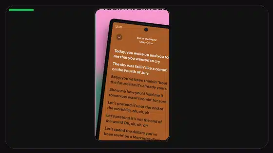 Spotify Premium APK Account Security Checklist - Spotify app screenshot 3