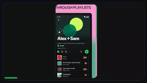 Spotify Premium APK Account Security Checklist - Spotify app screenshot 5