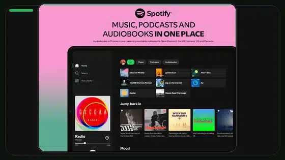 Spotify Premium APK Account Security Checklist - Spotify app screenshot 9