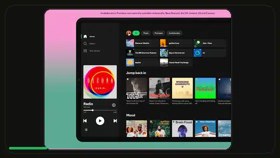 Spotify Premium APK Alternatives for Android - Spotify app screenshot 3