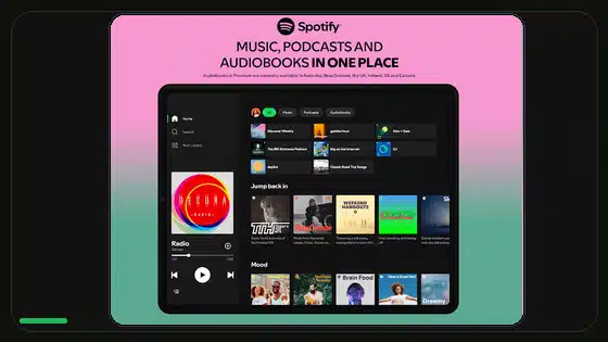 Spotify Premium APK Backup Safety Guide - Spotify app screenshot 3