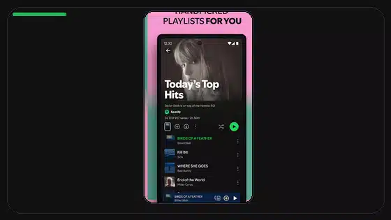 Spotify Premium APK Beta vs Stable Builds - Spotify app screenshot 4