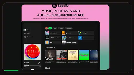 Spotify Premium APK Beta vs Stable Builds - Spotify app screenshot 9