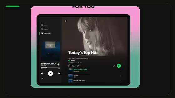 Spotify Premium APK Chromecast Connection Fix - Spotify app screenshot 4