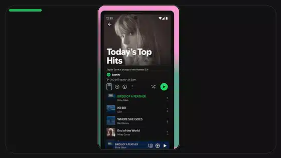Spotify Premium APK Data Privacy Checklist - Spotify app screenshot 4