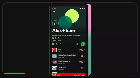 Spotify Premium APK Data Privacy Checklist - Spotify app screenshot 5