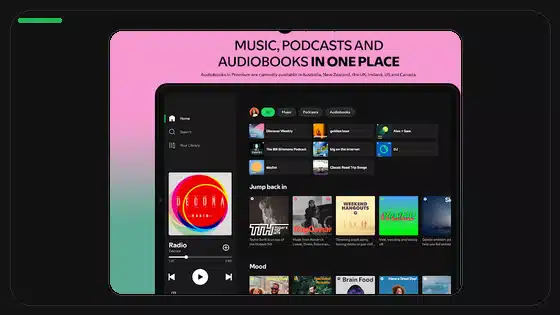 Spotify Premium APK Data Privacy Checklist - Spotify app screenshot 9