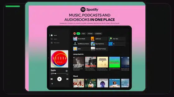 Spotify Premium APK Downloaded Songs Missing - Spotify app screenshot 3