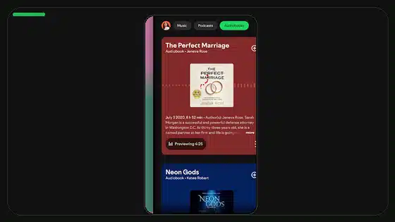 Spotify Premium APK High Data Usage Fix - Spotify app screenshot 6