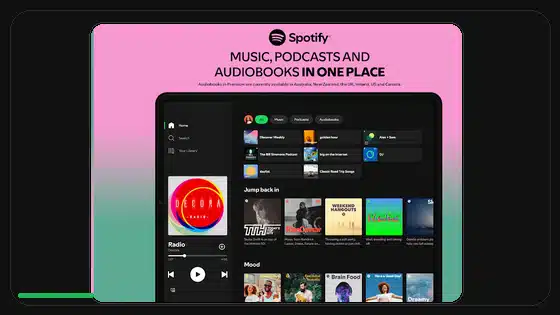 Spotify Premium APK High Data Usage Fix - Spotify app screenshot 9