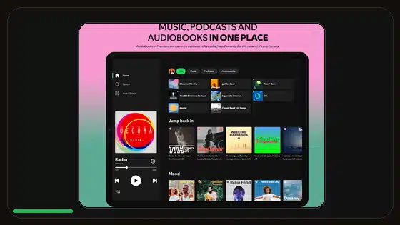 Spotify Premium APK Legal and Ethical Considerations - Spotify app screenshot 3