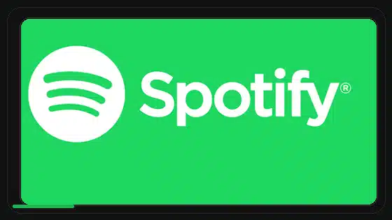 Spotify Premium APK Legal and Ethical Considerations - Spotify app screenshot 9