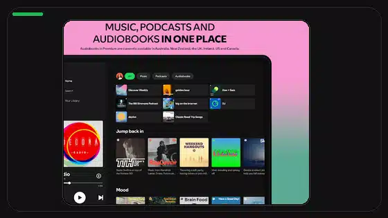 Spotify Premium APK Lyrics Not Showing Fix - Spotify app screenshot 3