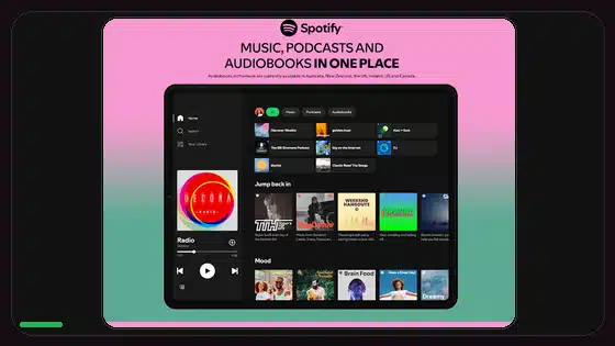 Spotify Premium APK Multiple Account Tips - Spotify app screenshot 9