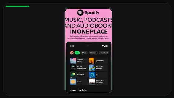 Spotify Premium APK Offline Mode Not Working - Spotify app screenshot 1