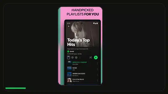 Spotify Premium APK Offline Mode Not Working - Spotify app screenshot 4