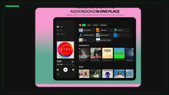 Spotify Premium APK Offline Mode Not Working - Spotify app screenshot 9